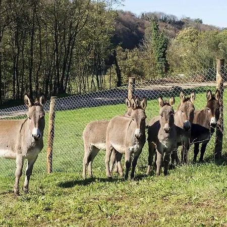 Farm stay Borgo Imperiale *